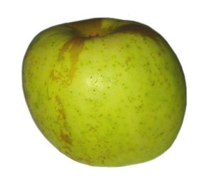 Yellow Apple Varieties